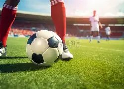 同程旅行,年三季报揭,旅游市场蓬,金年会6676官方网站,金年会体育6676网页版,金年会官网6676入口,金年会官网6676首页