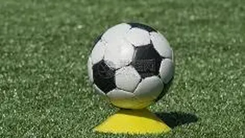 金年会体育6676网页版 产品 120824 rnu