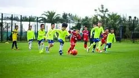 金年会体育6676网页版 产品 102749 3y7