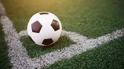 大谷翔平创MLB「50轰50盗」神迹，30万美元全垒打棒拍卖成交